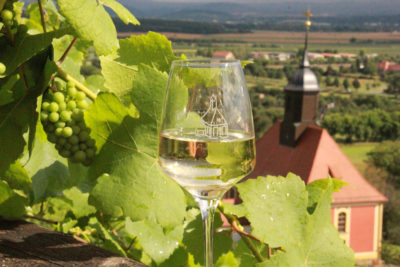 Jungweinprobe im Weinberg Pillnitz